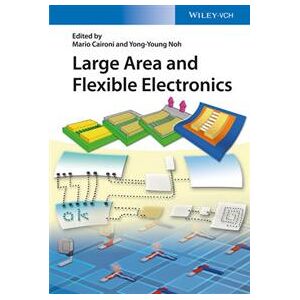 Large Area and Flexible Electronics