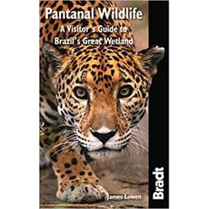 Pantanal Wildlife