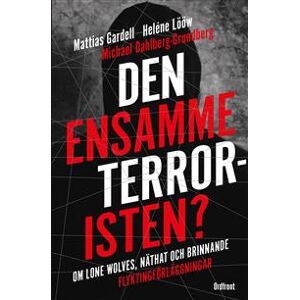 Den ensamme terroristen? : om lone wolves, näthat och brinnande flyktingförläggningar