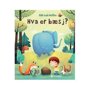 Hva er bæsj?