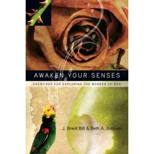 Awaken Your Senses