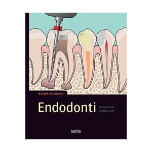 Endodonti