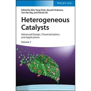 Heterogeneous Catalysts