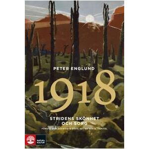Stridens skönhet och sorg 1918 : första världskrigets sista år i 88 korta kapitel