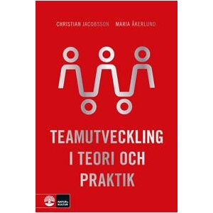 Teamutveckling i teori och praktik