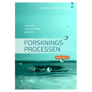 Forskningsprocessen