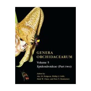 Genera Orchidacearum Volume 5