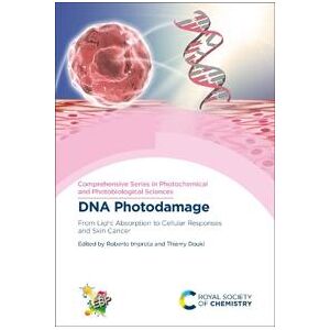 DNA Photodamage