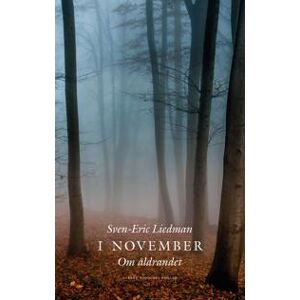 I november : Om åldrandet