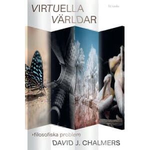 Virtuella världar : filosofiska problem