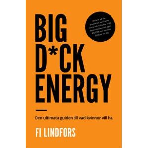 Big dick energy : den ultimata guiden till vad kvinnor vill ha