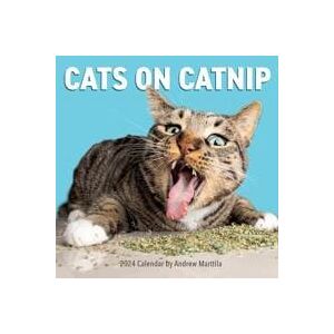 Cats on Catnip Wall Calendar 2024