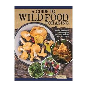 A Guide to Wild Food Foraging