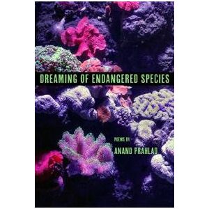 Dreaming of Endangered Species