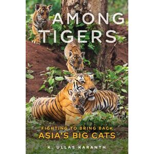 Among Tigers