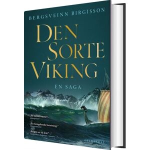 Viking Den Sorte Viking - Bergsveinn Birgisson - Bog