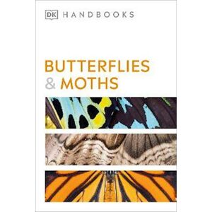 David Carter Butterflies And Moths