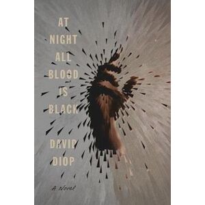 David Diop At Night All Blood Is Black