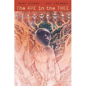 Alan Walker The Ape In The Tree