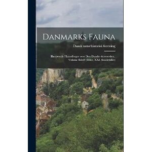 Dansk Naturhistorisk Forening Danmarks Fauna; Illustrerede Haandbøger Over Den Danske Dyreverden.. Volume Bd.69 (Biller, Xxi. Snudebiller)