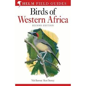 Nik Borrow Field Guide To Birds Of Western Africa