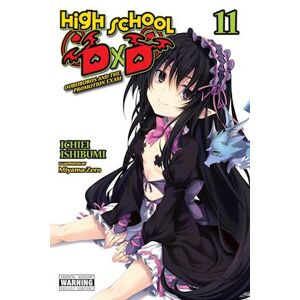 Ichiei Ishibumi High School Dxd, Vol. 11 (Light Novel)