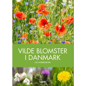 Andrew Cleave Vilde Blomster I Danmark