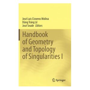 Springer Handbook Of Geometry And Topology Of Singularities I