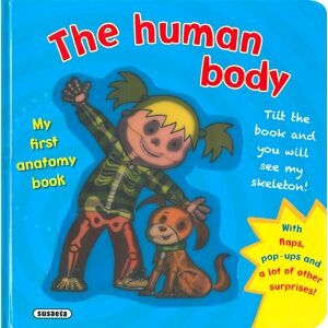 The human body