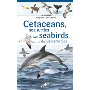 Cetaceans, sea turtles and seabirds of the Balearic Sea