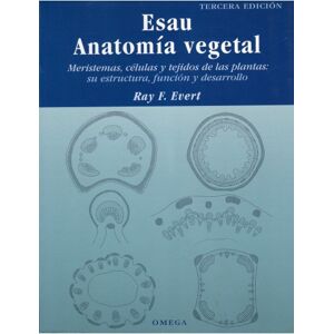 Esau Anatomía vegetal