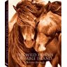 TE NEUES PUB The Wild Horses Of Sable Island