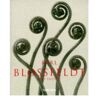 Taschen Karl Blossfeldt. Photographs