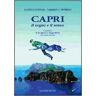Gangemi Capri, Il Segno E Il Senso