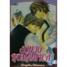 Editorial Ivrea Junjo Romantica 04