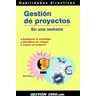 Gestión 2000 Gestión De Proyectos