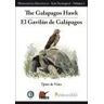Tundra The Galapagos Hawk = El Gavilán De Galápagos