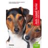 Tikal Ediciones Jack Russell Terrier. Jack Russell Terrier Y Parson Russell Terrier