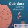 Demipage Qué Dura Es La Vida De Un Cerdo