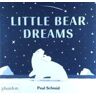 N Little Bear Dreams