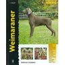 Editorial Hispano Europea S.A. Weimaraner