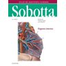 Elsevier Sobotta Atlas De Anatomia Humana Vol 2 24 Ed