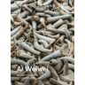 RM Verlag, S.L. Ai Weiwei: Restablecer Memorias / Resetting Memories
