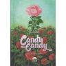 Arechi Candy Candy: La Historia Definitva