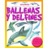 Combel Editorial Ballenas Y Delfines