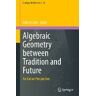 Algebraic Geometry Between Tradition And Future