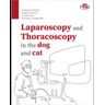 EDRA EDITORIAL Laparoscopy And Thoracoscopy In The Dog And Cat