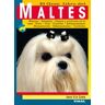Susaeta Ediciones Maltés. El Gran Libro Del Maltés