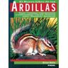 Susaeta Ediciones El Nuevo Libro De Las Ardillas. Ardillas