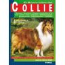 Susaeta Ediciones Collie